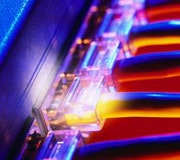 1660604214296 In10q4 Trees And Rings