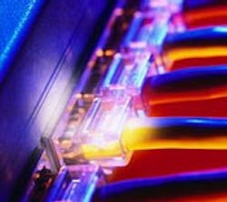 1660604214296 In10q4 Trees And Rings 1660604214296 In10q4 Trees And Rings