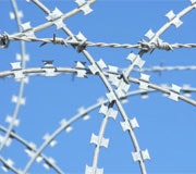 1660604217414 Cd1007 Livewirebutton