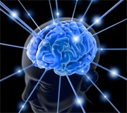 1660604225898 Cd1002 Mojobutton