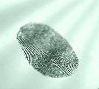 1660604270159 Raf10 Greenprint