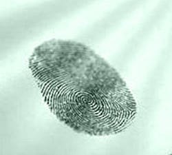 1660604270159 Raf10 Greenprint 1660604270159 Raf10 Greenprint