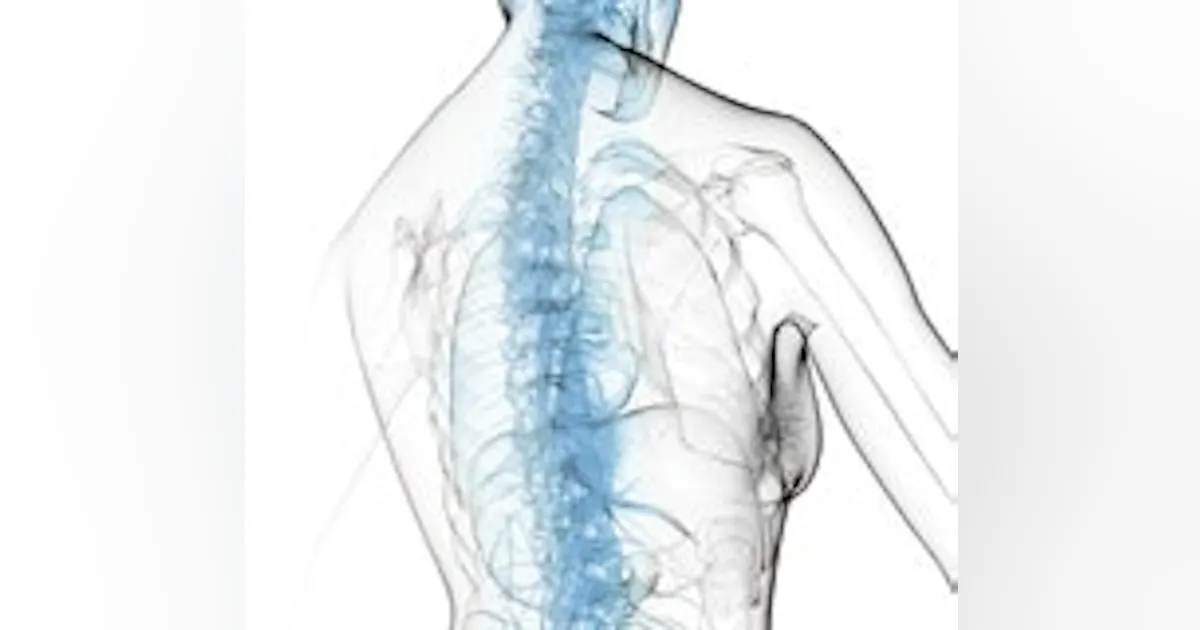 Single Backbone Control Systems | Search for a Single Spine | Industrial Networking ...