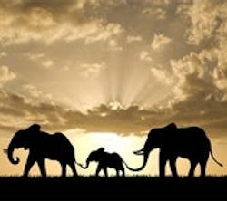 1660604354063 Cd1002 Livewire 1660604354063 Cd1002 Livewire