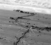 1660604496349 Cd0905 Guilebutton