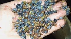 1660604564421 Cd0909 Feat2button 1660604564421 Cd0909 Feat2button