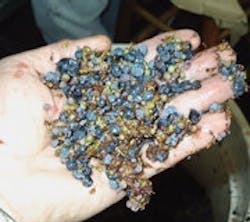 1660604564421 Cd0909 Feat2button 1660604564421 Cd0909 Feat2button