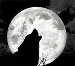 1660604590500 Cd0911 Wildcall 1660604590500 Cd0911 Wildcall