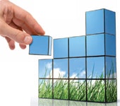 1660604611027 Cd0904 Green