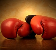 1660604621663 Cd0911 Oeminsight