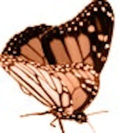 1660604740685 Cd0810 Livewirebutton 1660604740685 Cd0810 Livewirebutton