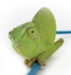 1660604879127 Cd0803 Covstrybutton 1660604879127 Cd0803 Covstrybutton