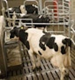 1660604882795 Cd0803 Indescretebutton 1660604882795 Cd0803 Indescretebutton