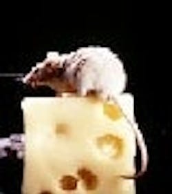 1660605135500 Article 071 Tnail 1660605135500 Article 071 Tnail