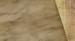 paper-pulp