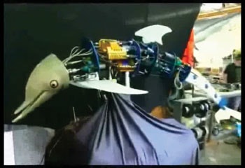 1661892477987 Cd1207dolphin