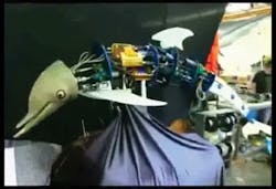 cd1207-dolphin cd1207-dolphin