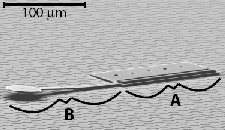1661892938702 News 046 Nanorobot