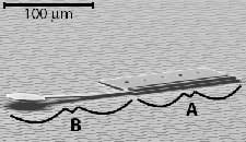news_046_nanorobot news_046_nanorobot