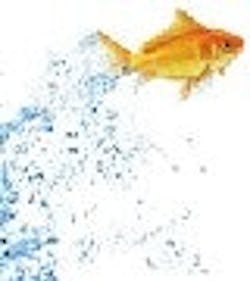 1661895903362 Cd0408 Jumping Fish 1661895903362 Cd0408 Jumping Fish