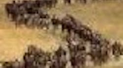 1661896248805 Cd0405 Coverimage 1661896248805 Cd0405 Coverimage