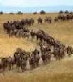 1661896248805 Cd0405 Coverimage 1661896248805 Cd0405 Coverimage