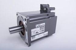 1663368561003 Kebsteelitservomotor250