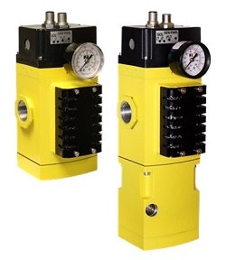 1663369561805 Rossm35valves250