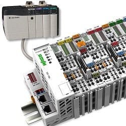 1663370555258 Wagoaoi250 1663370555258 Wagoaoi250