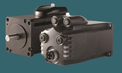 1663370884314 Mooganimatics250