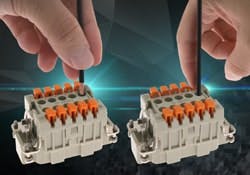 1663370978381 Squichrgb 1663370978381 Squichrgb