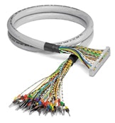 1663376754712 Product 010 Phoenix