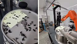 1663606685431 Imagesofskyeautomationsvisionguidedbowlfeeder 1663606685431 Imagesofskyeautomationsvisionguidedbowlfeeder