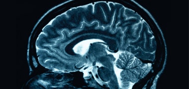 1663606964284 Cd1301coverstory