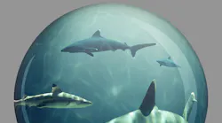 Shark Tank