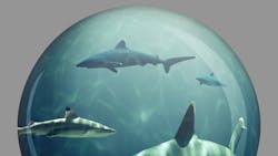 Shark Tank 645d400f81f4d Shark Tank 645d400f81f4d