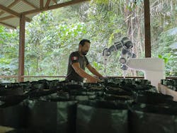 Figure 1: ABB’s collaborative robot YuMi is working with non-profit Junglekeepers in the Amazon to automate seed planting. Figure 1: ABB’s collaborative robot YuMi is working with non-profit Junglekeepers in the Amazon to automate seed planting.
