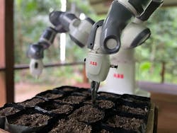 Figure 2: The YuMi cobot plants 640 seed bags per morning during the pilot program. YuMi enables Junglekeepers to replant an area the size of two soccer fields every day. Figure 2: The YuMi cobot plants 640 seed bags per morning during the pilot program. YuMi enables Junglekeepers to replant an area the size of two soccer fields every day.