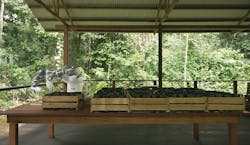 Hero Image Abb Robotics Amazon Reforestation Pilot World S Most Remote Robot Helps Amazon Jungle Reforestation Project 6491fbf3e23ae Hero Image Abb Robotics Amazon Reforestation Pilot World S Most Remote Robot Helps Amazon Jungle Reforestation Project 6491fbf3e23ae