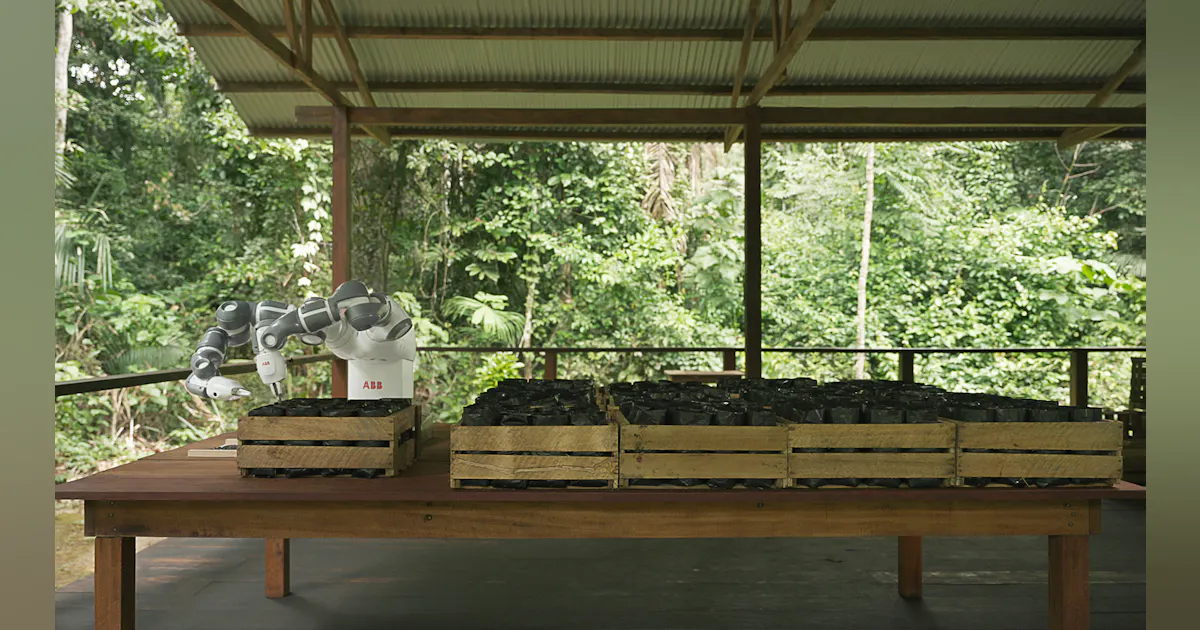 How can robotics and cloud technology reverse deforestation? | Control ...