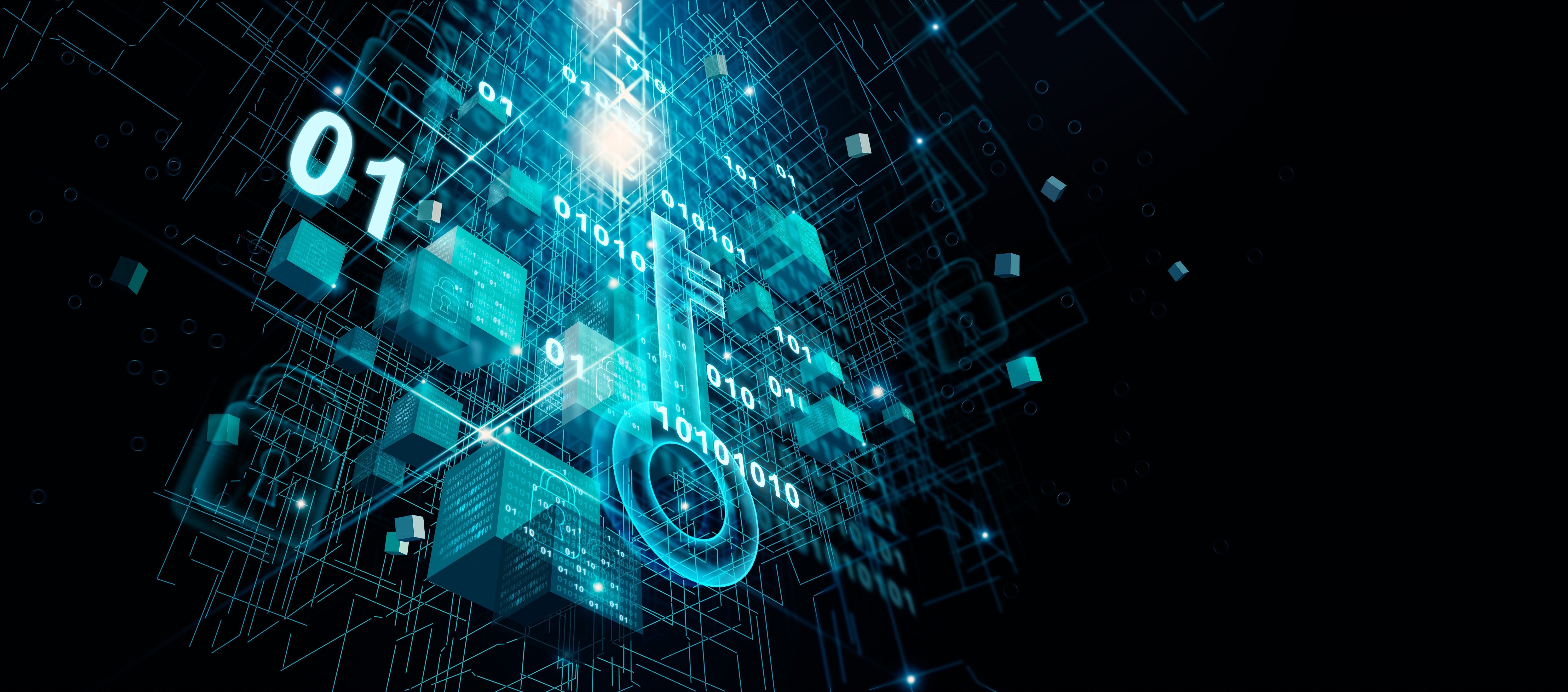 655b86735cd9d8001e1c9d72 Data Encryption