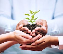 6581d773097962001d83f7cc Shutterstock 2308188589 6581d773097962001d83f7cc Shutterstock 2308188589