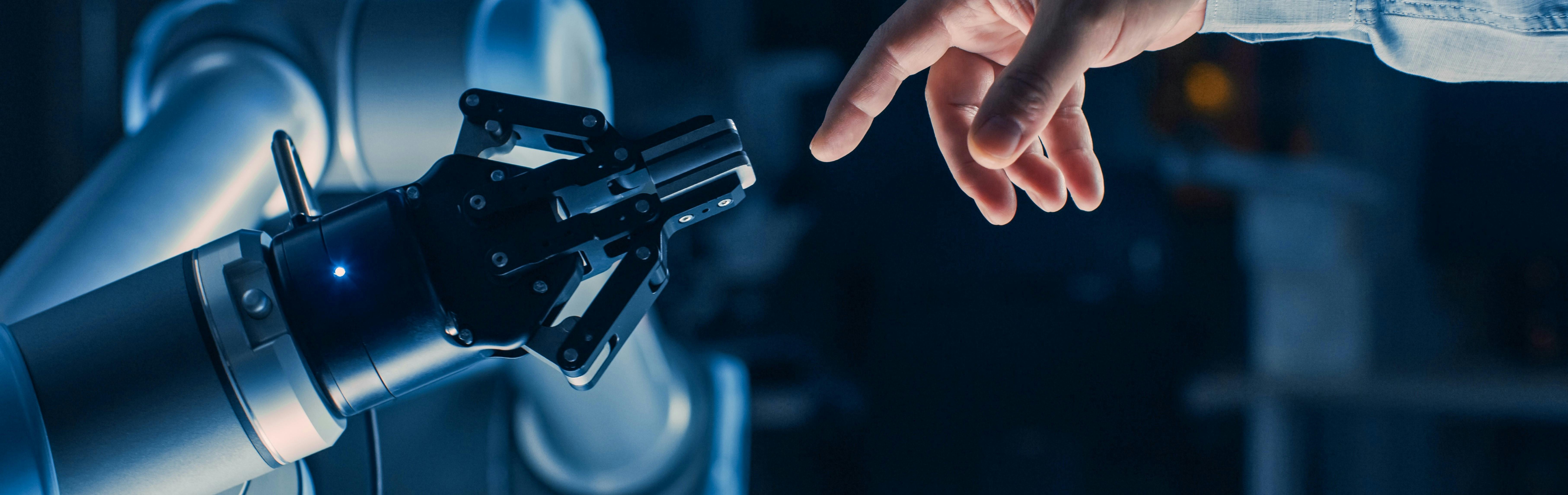 663a3e2666a5de654944e497 Elmo Workshop Image