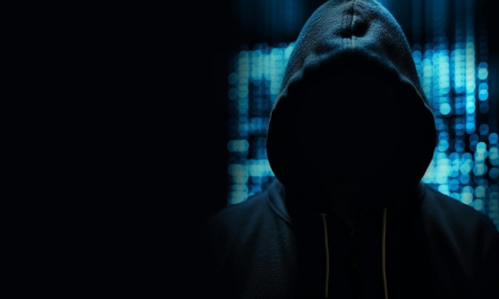 66a3abd19377d7d9a0fab8e8 Shutterstock 2288170675