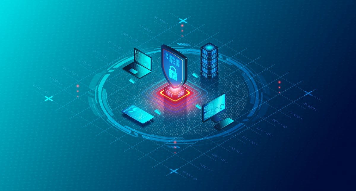 66cf450955dbbe43ad2c24d0 Shutterstock 2464808977