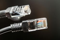 Two network Ethernet cables featuring clear connectors and detailed wiring Two network Ethernet cables featuring clear connectors and detailed wiring