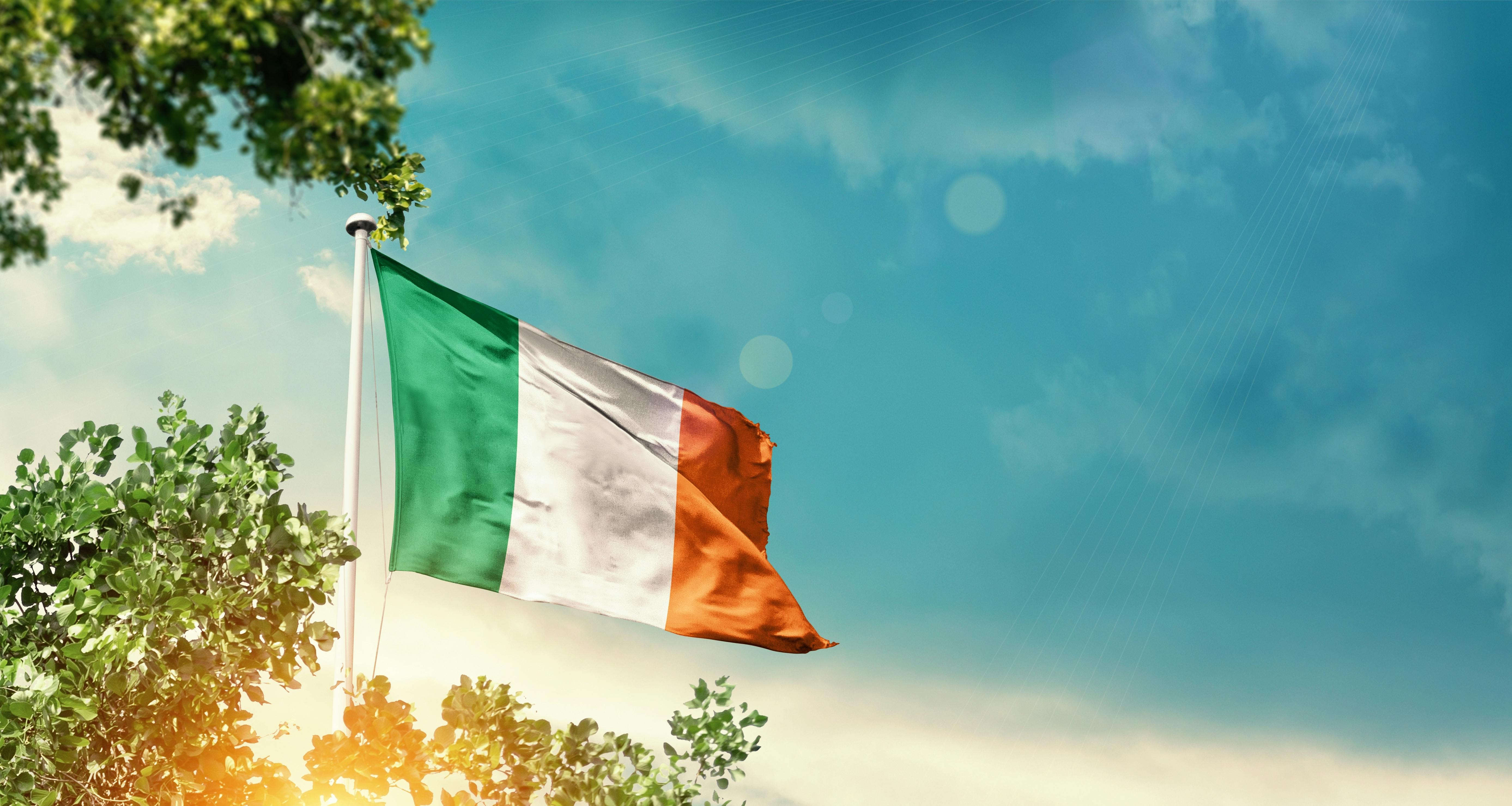Ireland national flag waving in the sky behind the tree