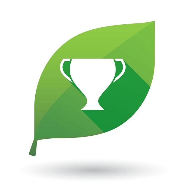 ESG accolades concept