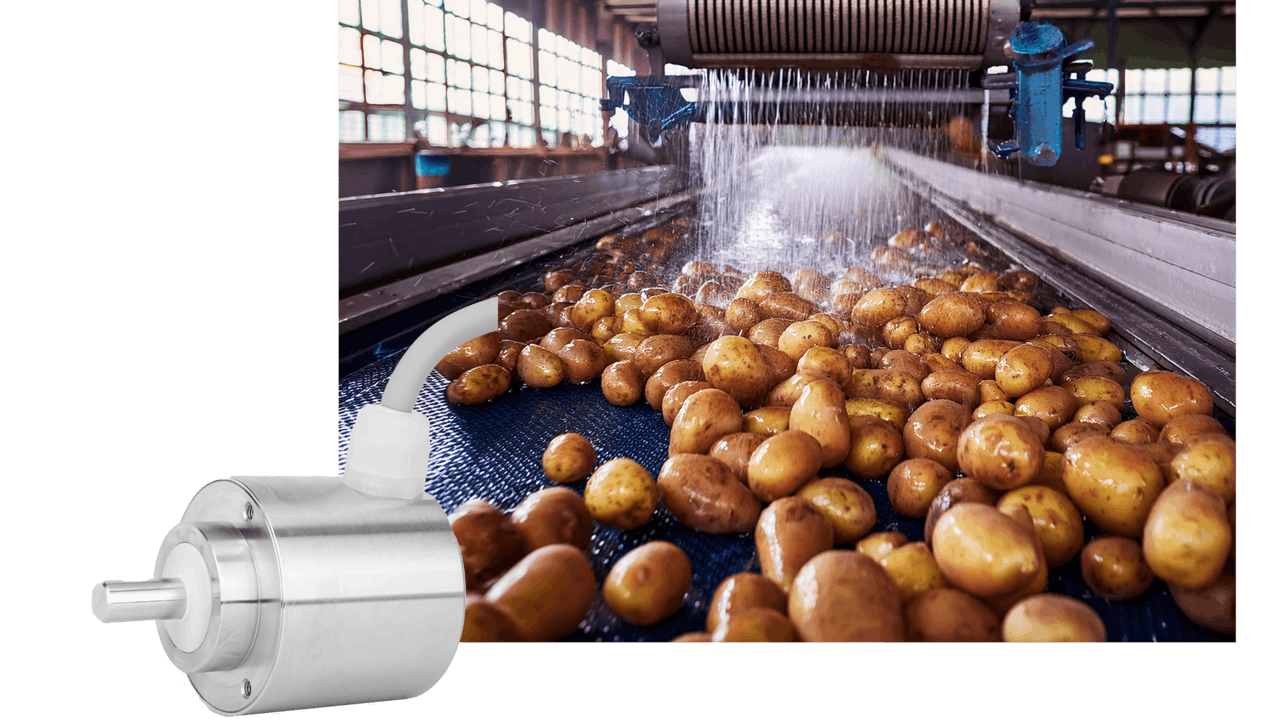 68792a8969707e13756c0b27 Largepotatoes And A58sbs