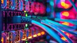 shutterstock_2463386911 shutterstock_2463386911